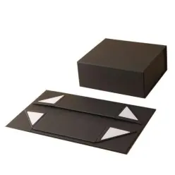 Folding Carton Packaging1520