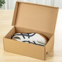 Shoe Box Dimensions5816