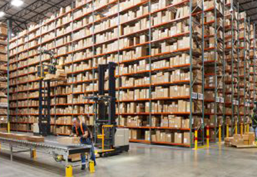 Cold Storage Forklift Solution Case Study
