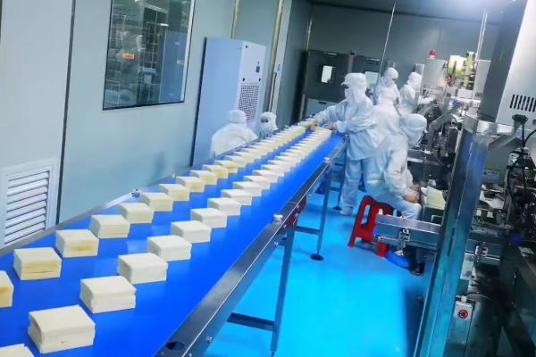 Assembly-conveyors-For-moving-sandwiches-through-the-production-process.png
