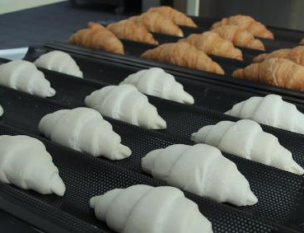 Frozen-Bread-Production-2.png