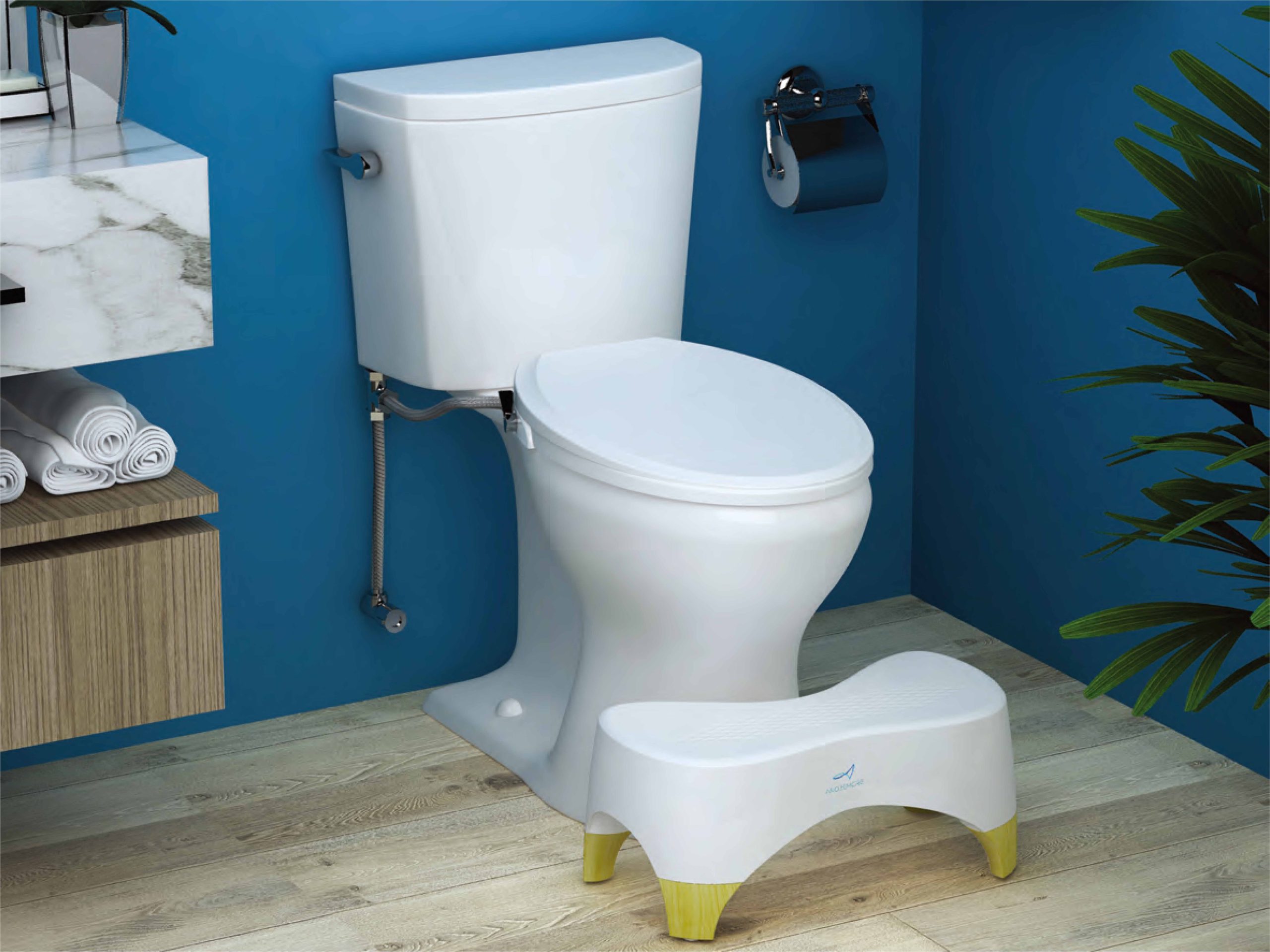 The Multifunctional Toilet Stool: A Must-Have for Every Household Bathroom