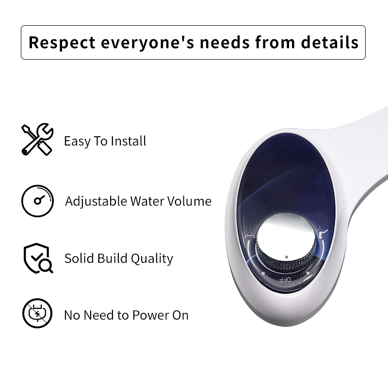 A8806 Black Cold Water Bidet