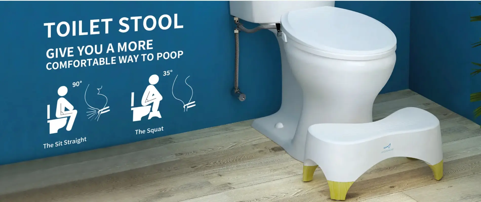 TOILET STOOL