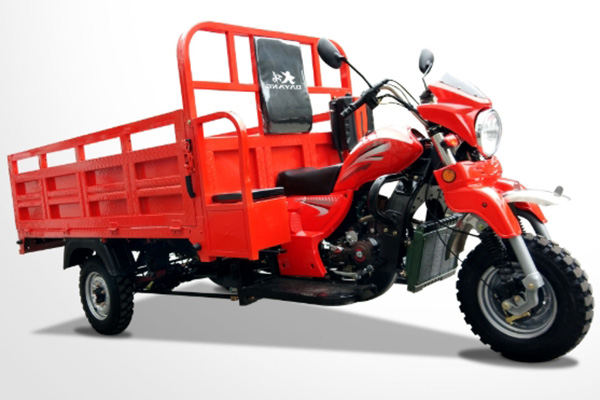 Electric passenger tricycle