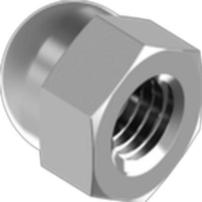 Hexagon Domed Cap Nuts High Type 1