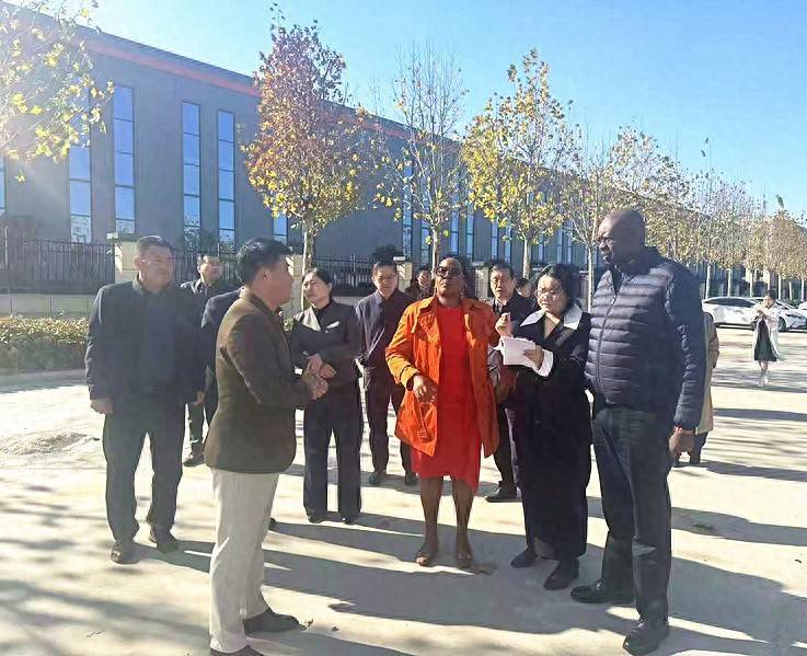 През 2025 г. международният консултант на провинция Шандонг Qilu посети Dingsheng Electric, за да предприеме проекта за електроцентрала Taifa „Cloud Energy Storage“.