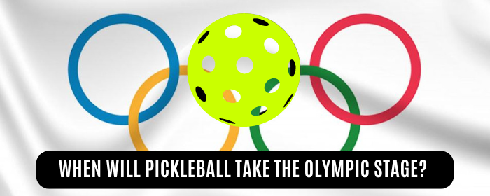 Pickleball Paddle