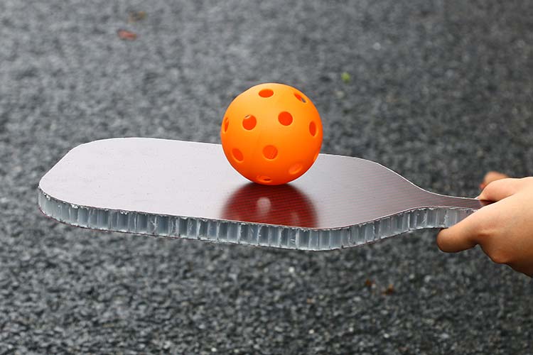 From Carbon Fiber to TPU Edge Guards: 2025’s Hottest Pickleball Paddle Materials & Design Trends