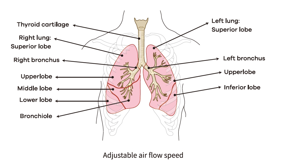 Nebulizer Cup