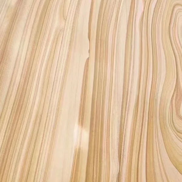 Teakwood Sandstone Close-up