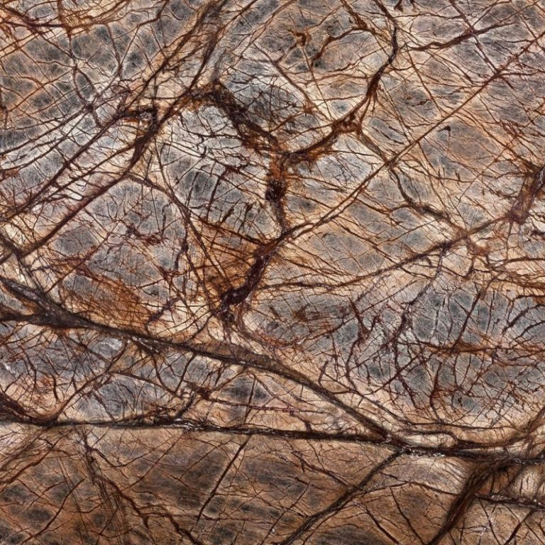 RAINFOREST BROWN MARBLE