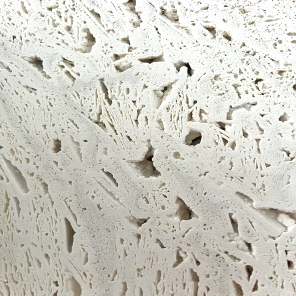 Super White Travertine Close-up