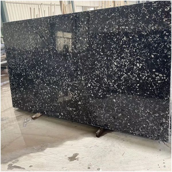 Black Fossil marble slab