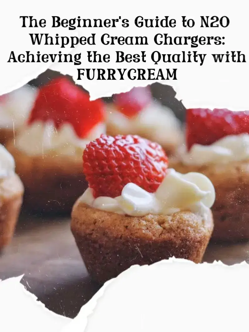 The Beginner’s Guide to N2O Whipped Cream Chargers: Achieving the Best Quality with FURRYCREAM