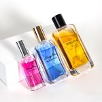 Empty Perfume Bottles 30ml 50ml 100ml Wholesale Glass Spray Bottle -