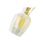 New Design 30ml 50ml 100ml Pump Perfume Spray Bottle With Golden Beak Lid -