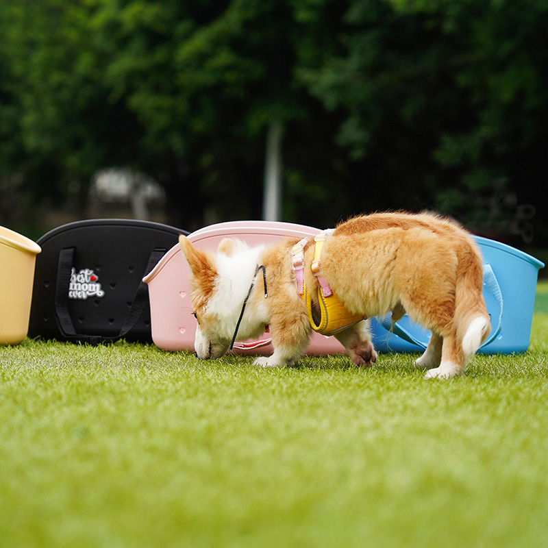 How to choose a pet bag?