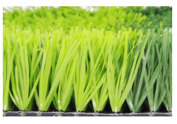 Artificial Turf 7
