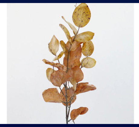 Fake Leaves
