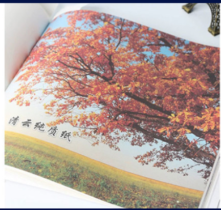 Publishing Paper