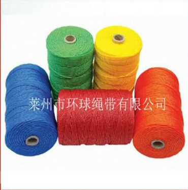 Shandong PE Wire