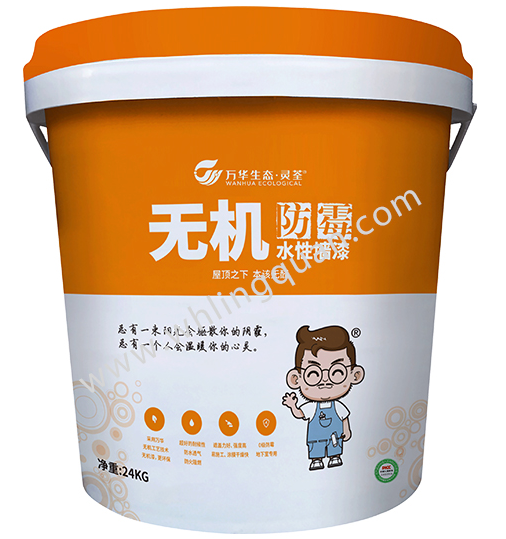 Inorganic Mold-resistant Water-based Wall Paint