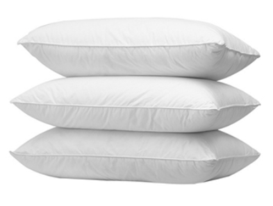 Pillow Core Pillow