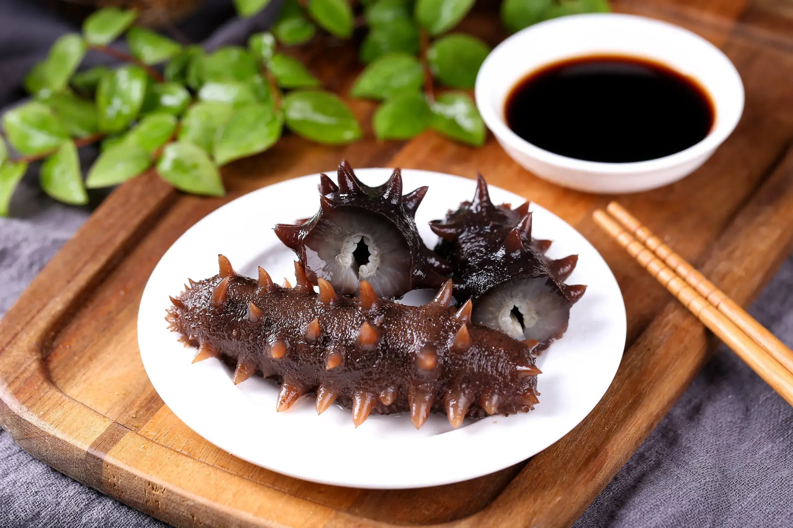 sea cucumbers