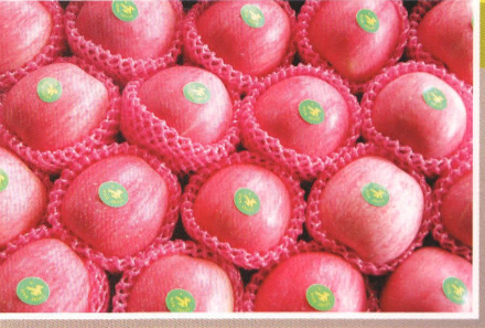 Red Apple