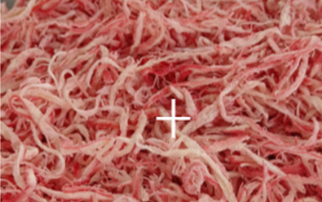 Squid Threads