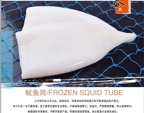 Squid Tube