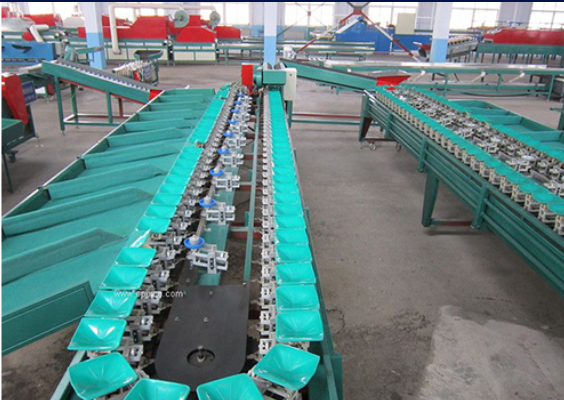 Gold Pear Automatic Fruit Grader