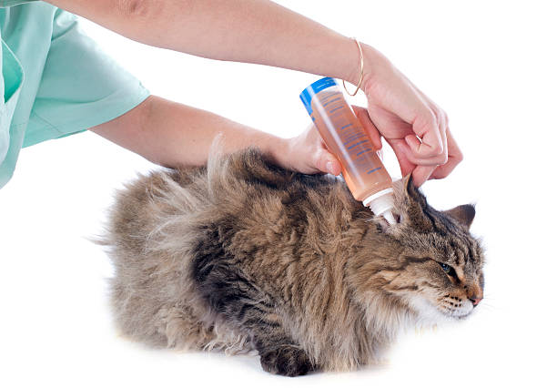 hygiene of ears in front of white background
