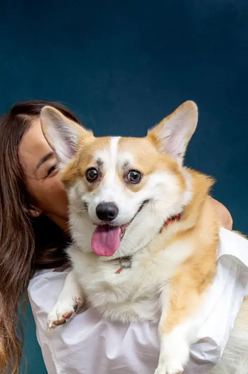 How to choose the right pet care products?