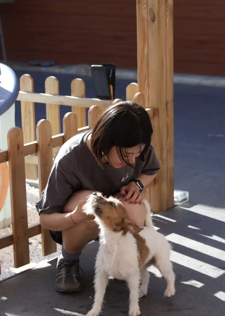 Why Regular Grooming is Essential for Your Dog's Well-being Beyond Beauty: The Health Benefits of Grooming