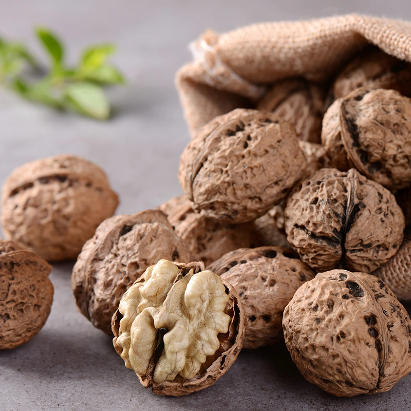 សំបកផ្លែតែ Hemp