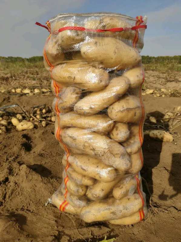 Agricultural products transportation Bag