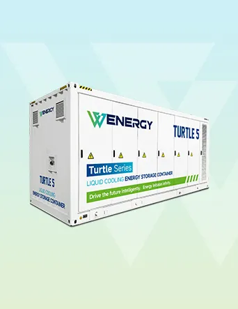 Turtle Series ESS Container