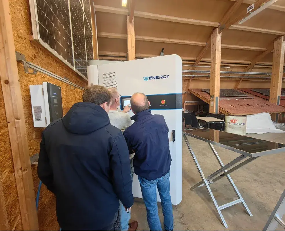 Germany Photovoltaic + Energy Storage Project