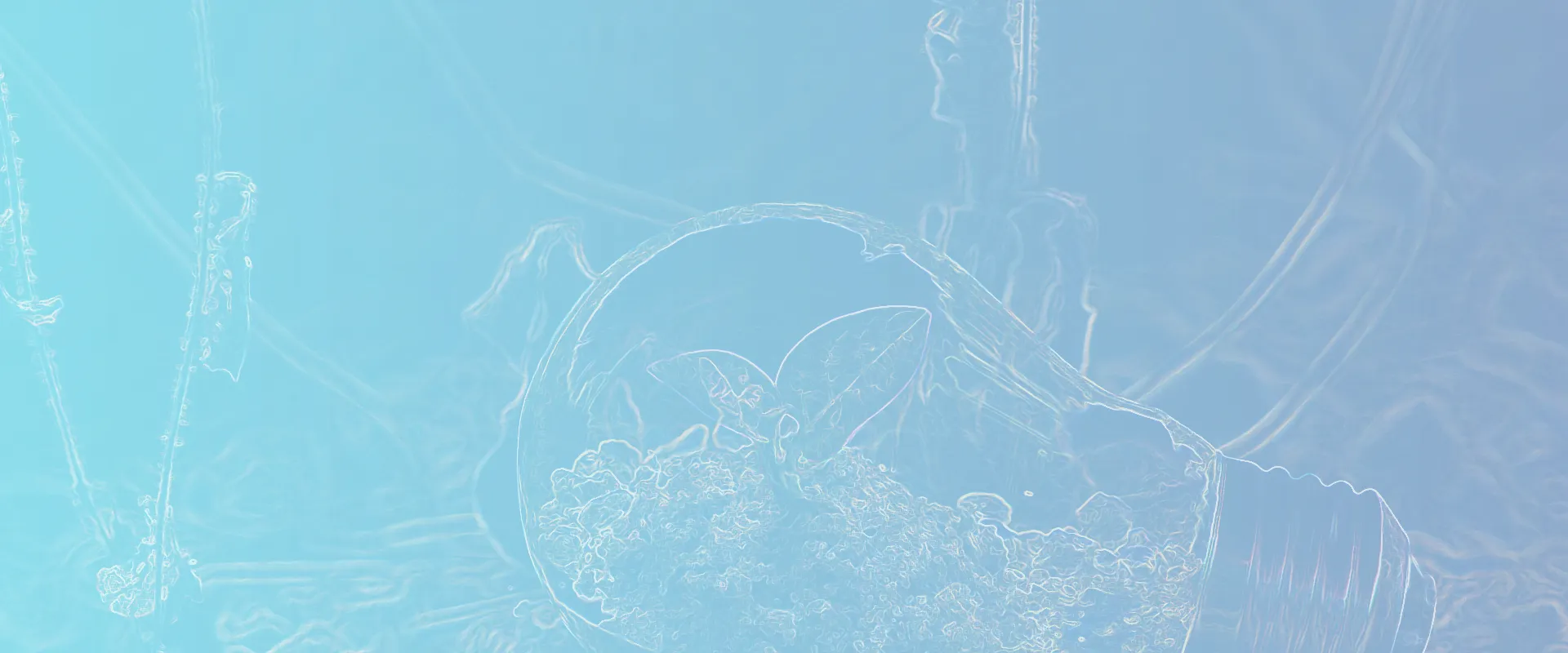 Η δέσμευσή μας