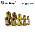 Flat head hexagon riveted nuts