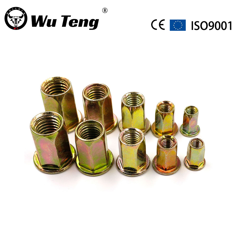 Flat head hexagon riveted nuts