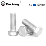 Hot Dip Galvanized Hexagonal Bolt - Handan Wuteng Engineering Materials Co., Ltd.