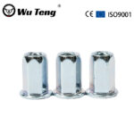 Flat Head Hexagon Riveted Nuts - Handan Wuteng Engineering Materials Co., Ltd.