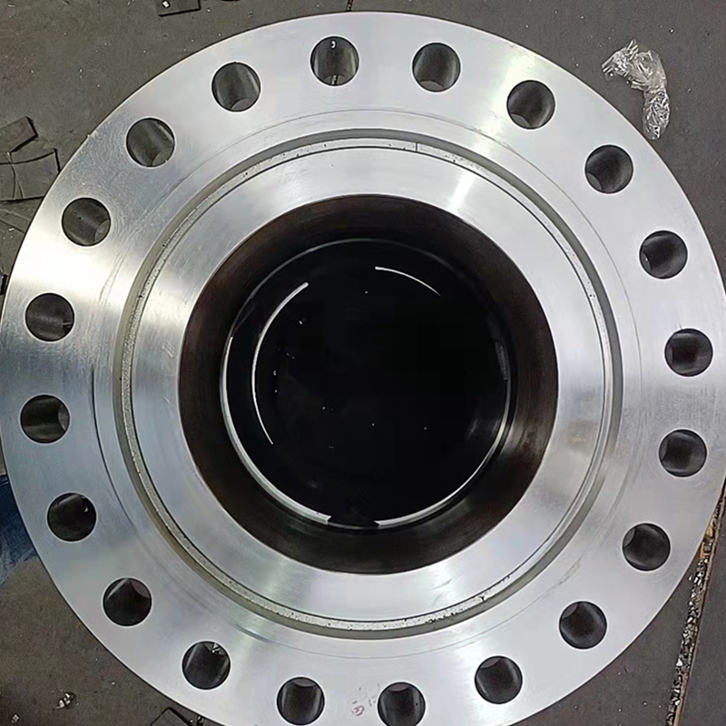 310S Stainless Steel Flange