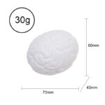 Custom Logo Pu Brain Stress Ball（FZZ Pu Brain ） - Xuzhou Jixingcheng Crafts Co., Ltd.