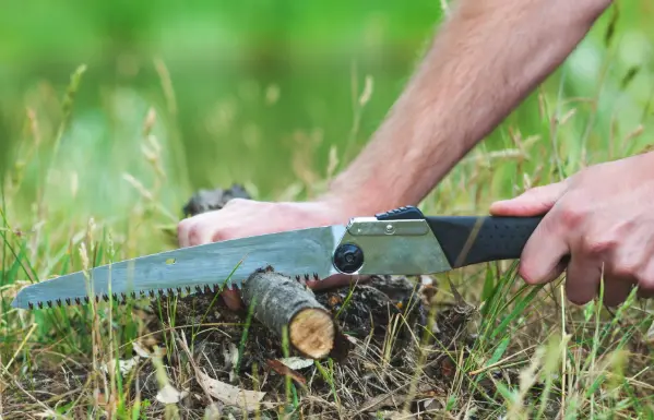 Best Camping Saw 2026 – Complete Buyer’s Guide for Campers, Hikers & Bushcrafters