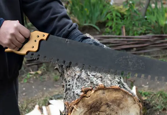 Types of Antique Saws
