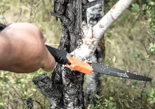 A Complete Guide to Every Type of Saw: Mastering the Different Types of Saws for Your Projects